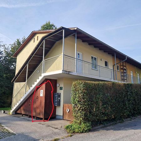 Erholung Pur Nahe Krankenhaus & Uni Mit Parkplatz! Apartment Graz Luaran gambar